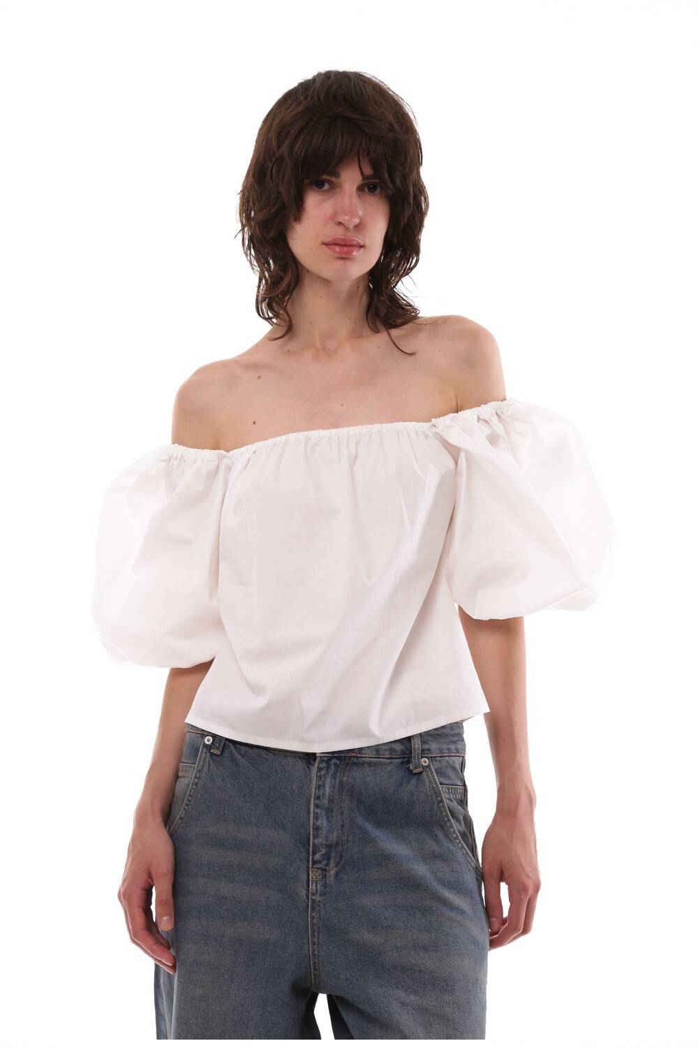 Top with puffed sleeves